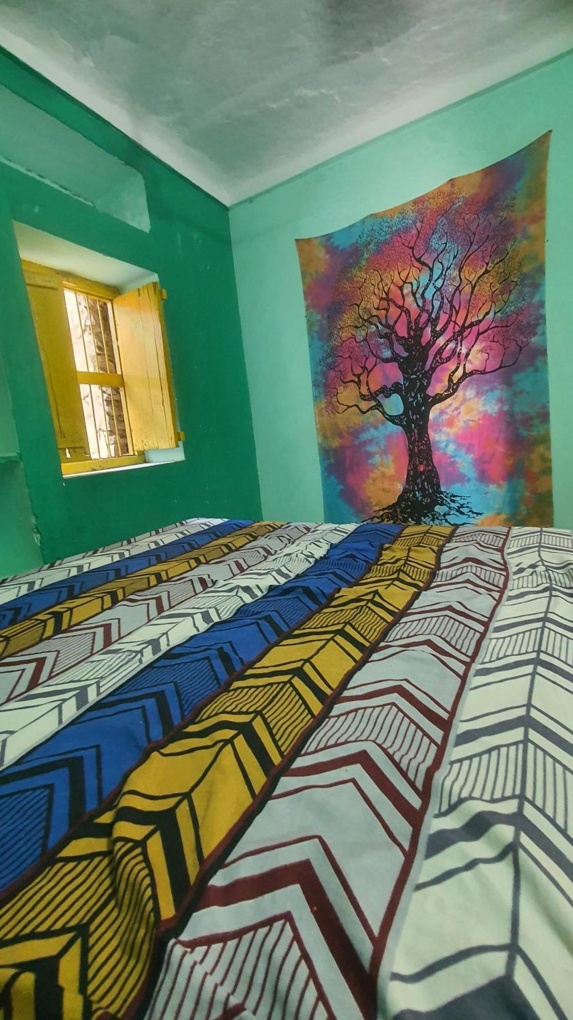 Anand Hostel 布什格尔 外观 照片